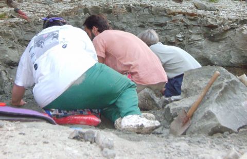 Leisa, James, and Vicki excavating Eotrachodon orientalis dinosaur