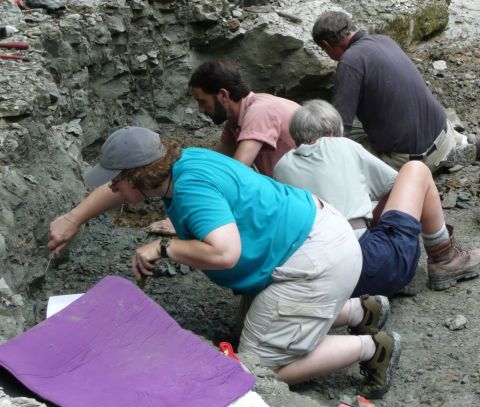Claire, James, Vicki and Bobby excavating the Eotrachodon orientalis dinosaur