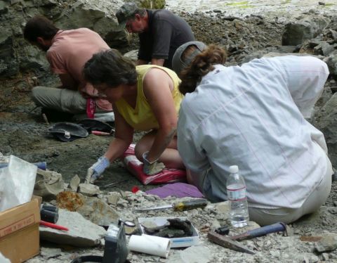 Claire, Becky, James and Bobby excavating the Eotrachodon orientalis dinosaur