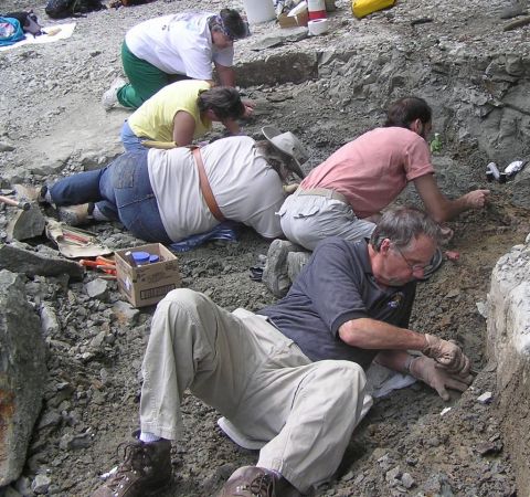 Bobby, James, Martha, Claire and Leisa excavating the Eotrachodon orientalis dinosaur