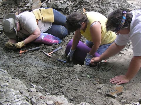 Leisa, Claire and Martha excavating the Eotrachodon orientalis dinosaur