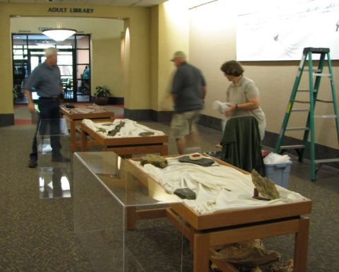 BPS Fossil Exhibit Homewood Library