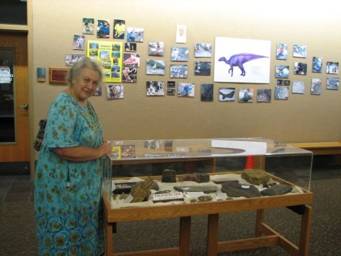 BPS Fossil Exhibit Homewood Library