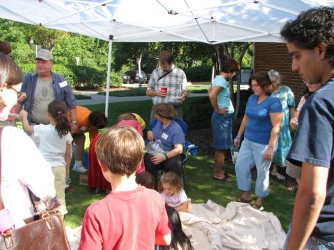 BPS Fossil Exhibit Homewood Library