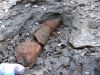 Eotrachodon orientalis first dinosaur bone found and excavated by BPS members