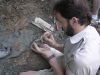 James Lamb digging the chalk off a Eotrachodon orientalis dinosaur vertebra 